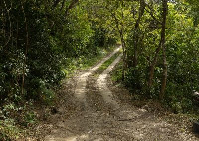 , Las Colinas  Panama